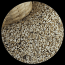 Sesame Seed