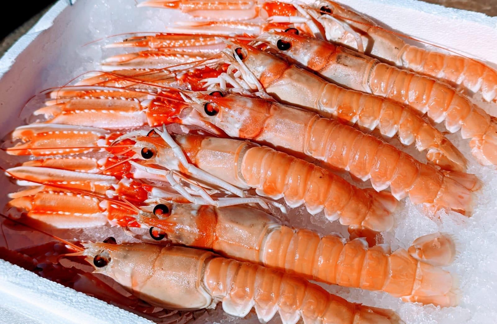 Langoustines