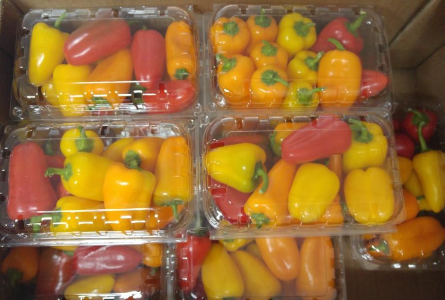 Fresh Carrots