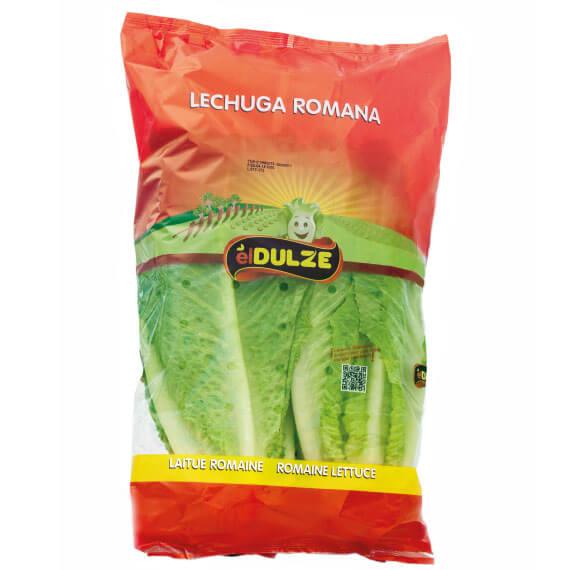 Fresh Lettuce