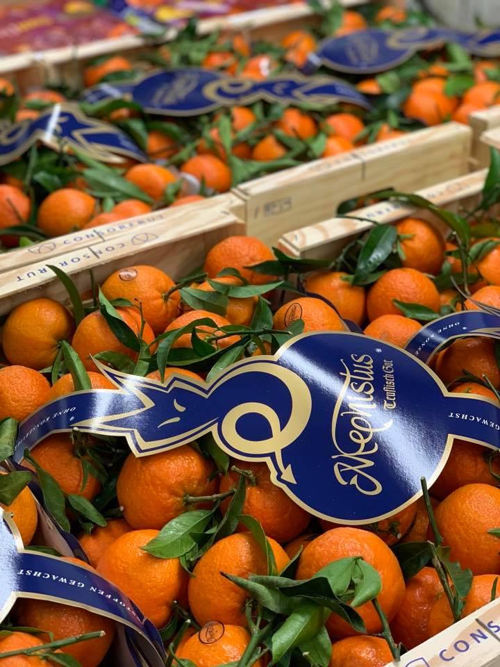 Oranges