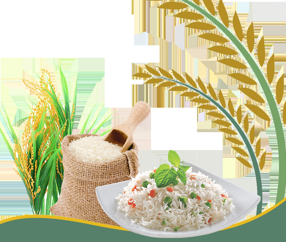 1121 Rice Basmati