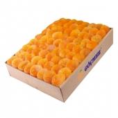 Apricot