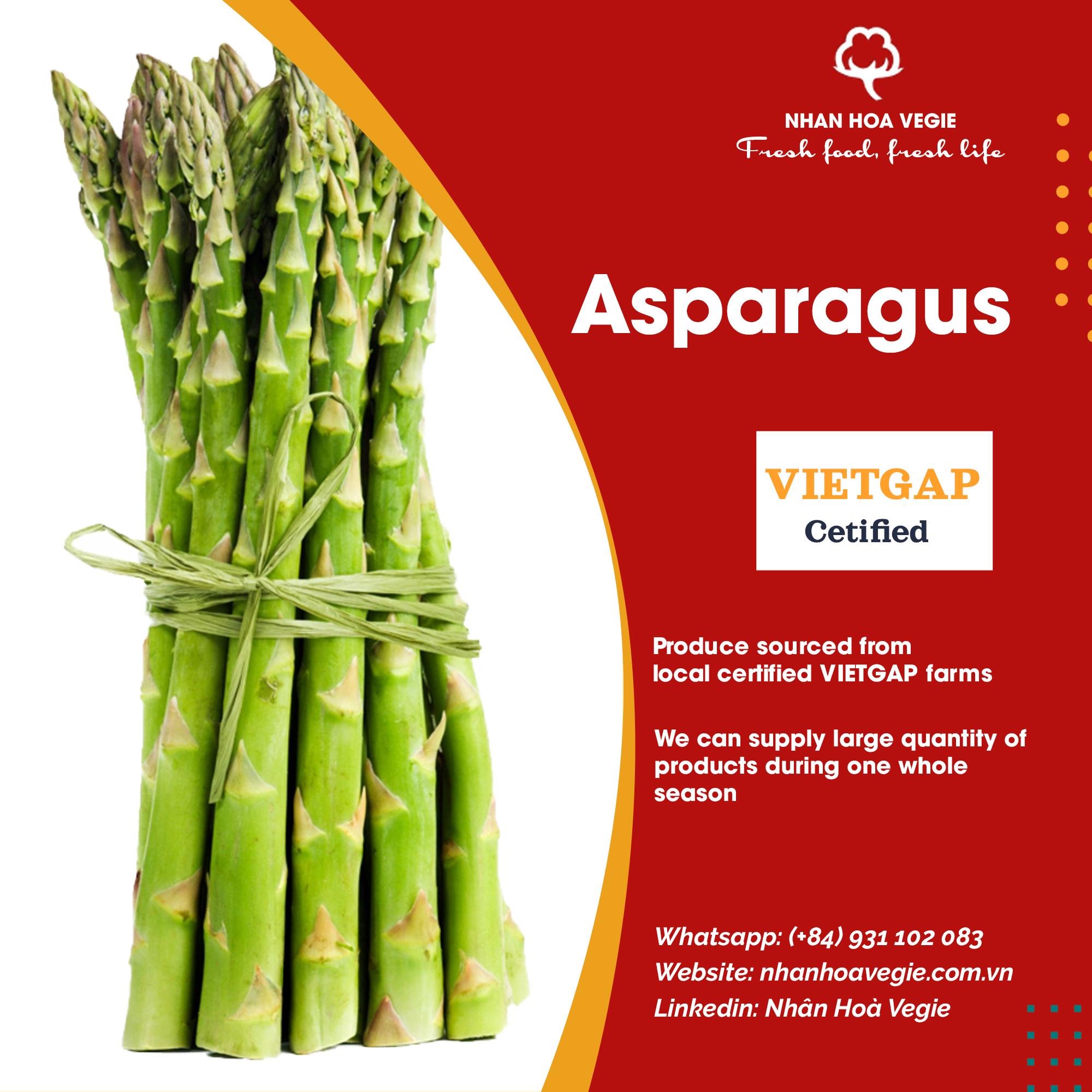 Vietnam Fresh Asparagus