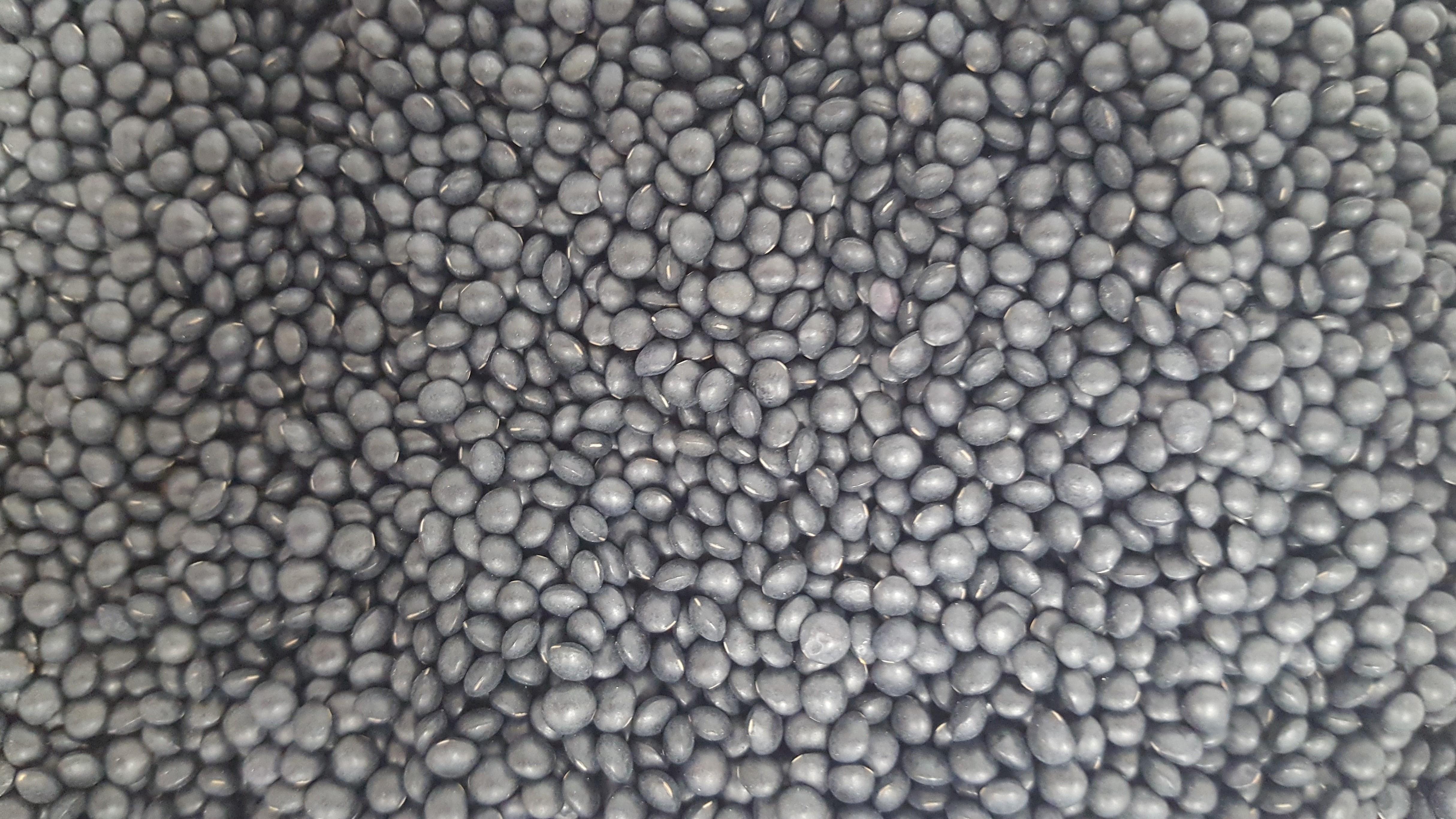 Organic Black Beluga Lentils