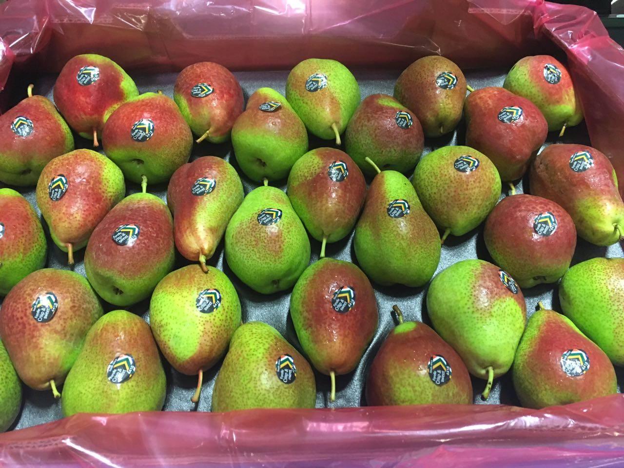 Pear