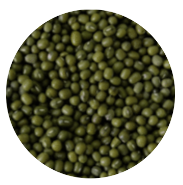 Vietnam Organic Soy Nut (Soybean)