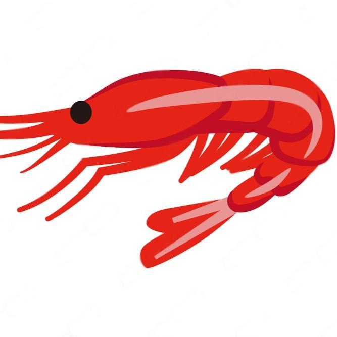 Shrimp