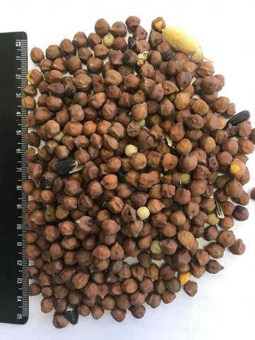 Chickpeas Kabuli & Desi