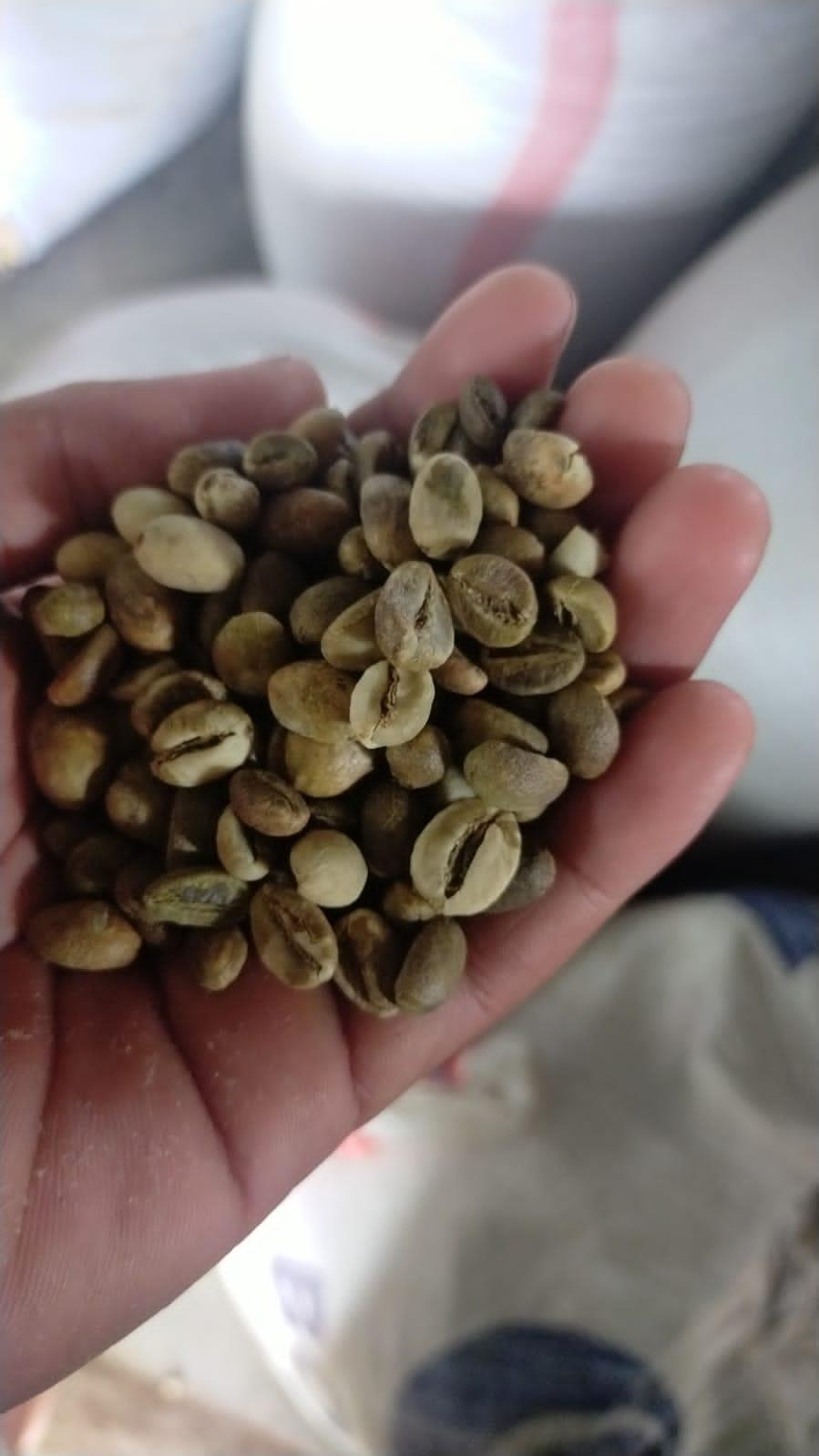 Arabica Coffee Beans