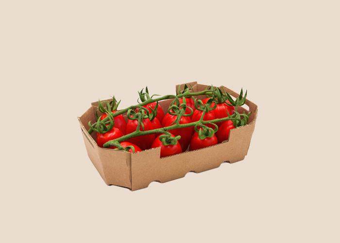 Large Vine Tomato