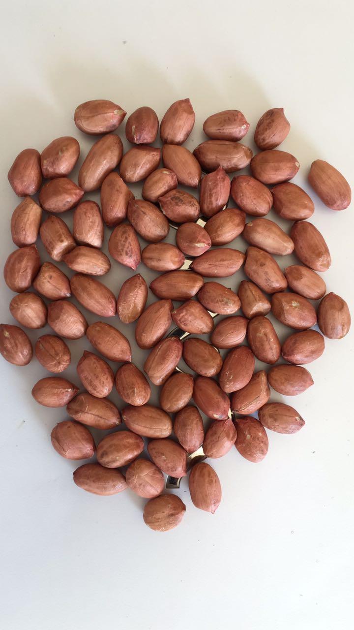 peanuts