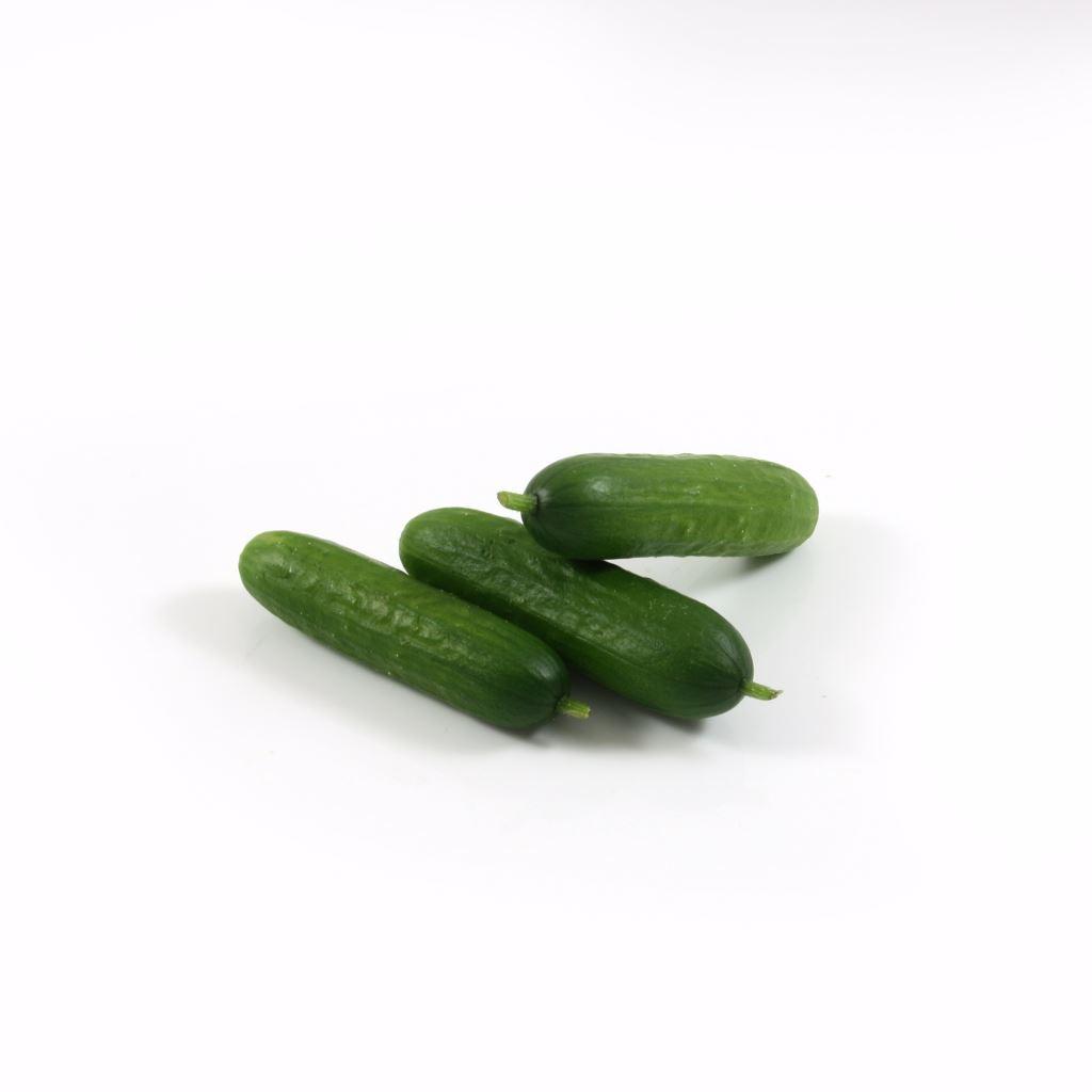 Cucumber