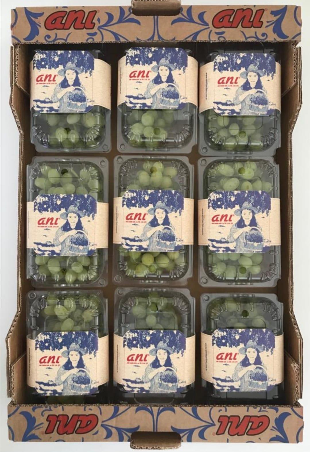 Grape