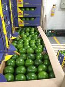 Lime