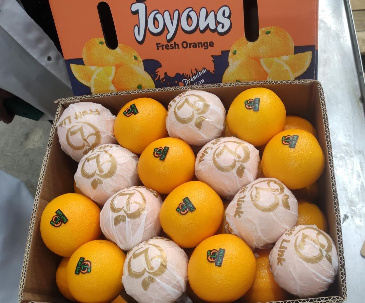 Valencia Oranges