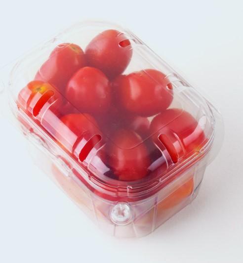 Fresh Tomato
