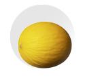 Honeydew Melon