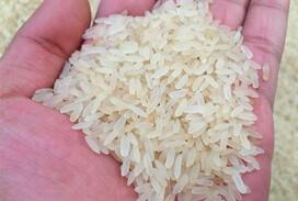 Parboiled Rice