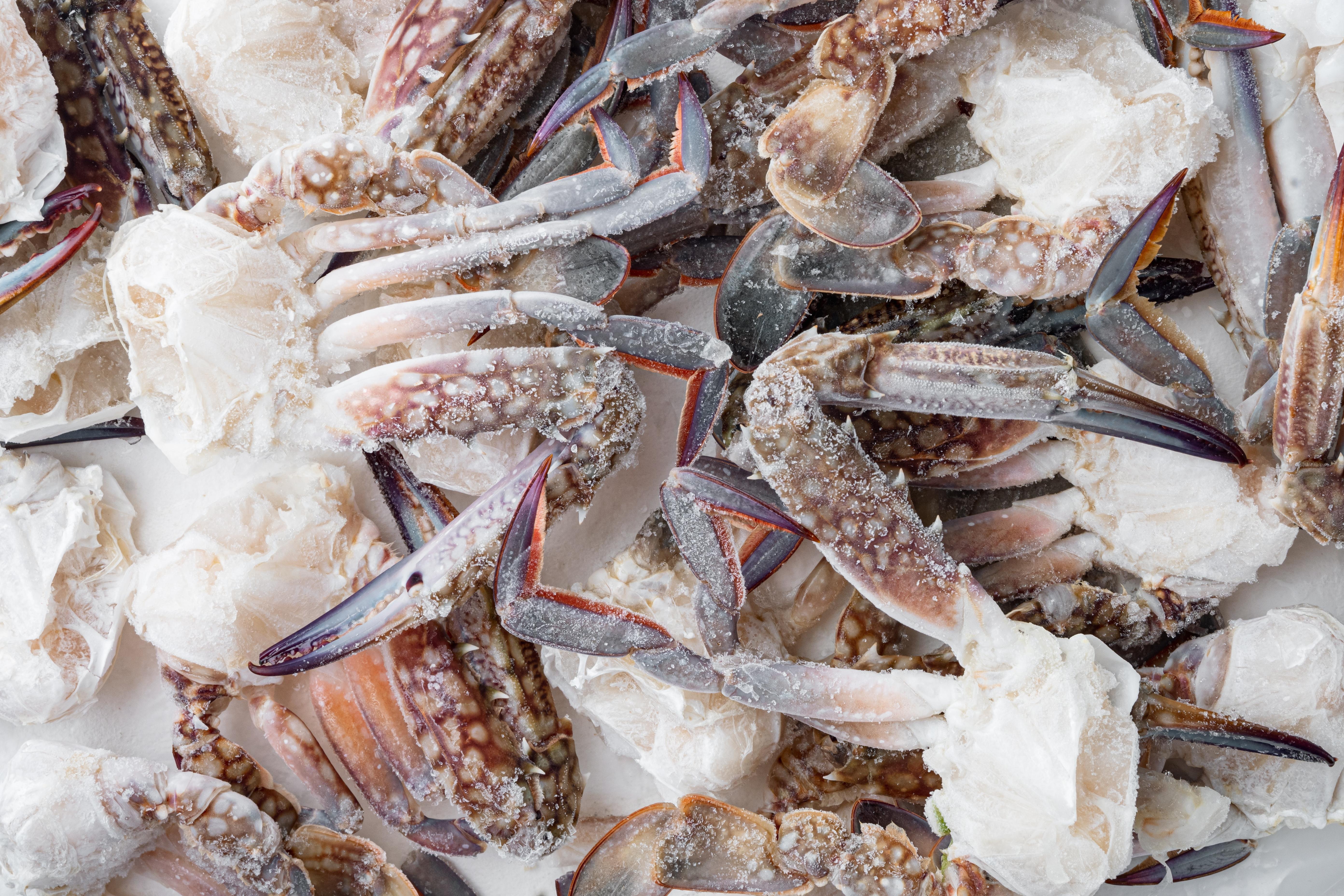 Frozen Crab