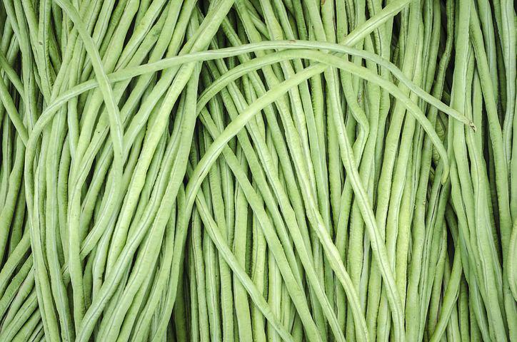 Pole bean
