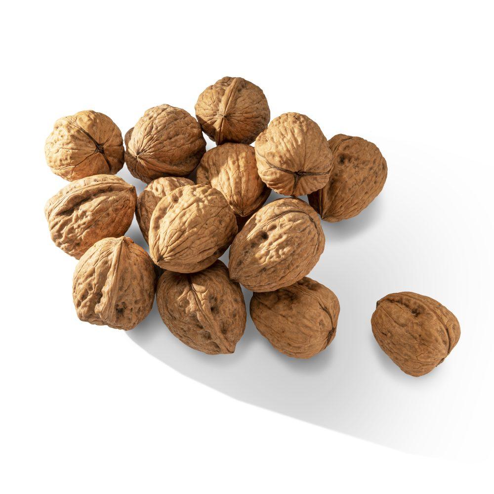 Chandler Light Halves & Pieces