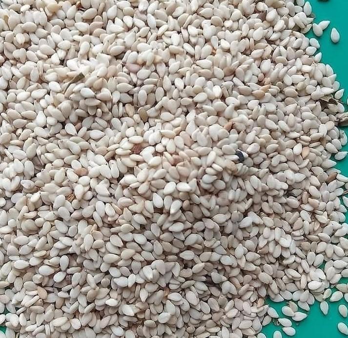 White Sesame Seeds