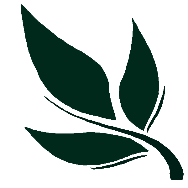 Green Tea Bulk