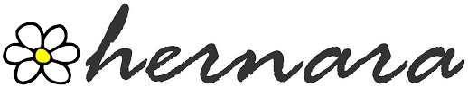 supplier