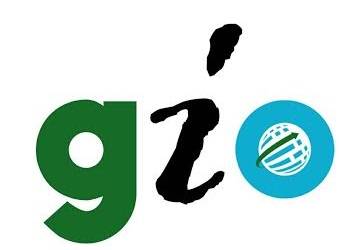 GREAT INTEGRATED OLAMINE NIG LTD