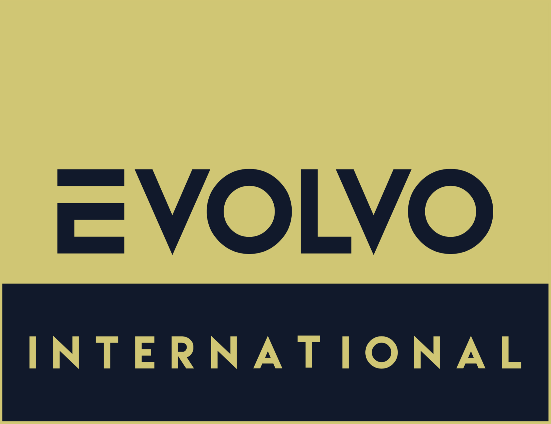 Evolvo International Ltda