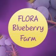 Blueberry