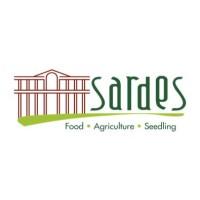 Sardes