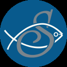 Sparus Aurata - Sea bream - Tsipoura -  Orata - Dorada - Dorade Royale - Dourada