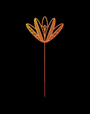 Oasis Saffron 1g