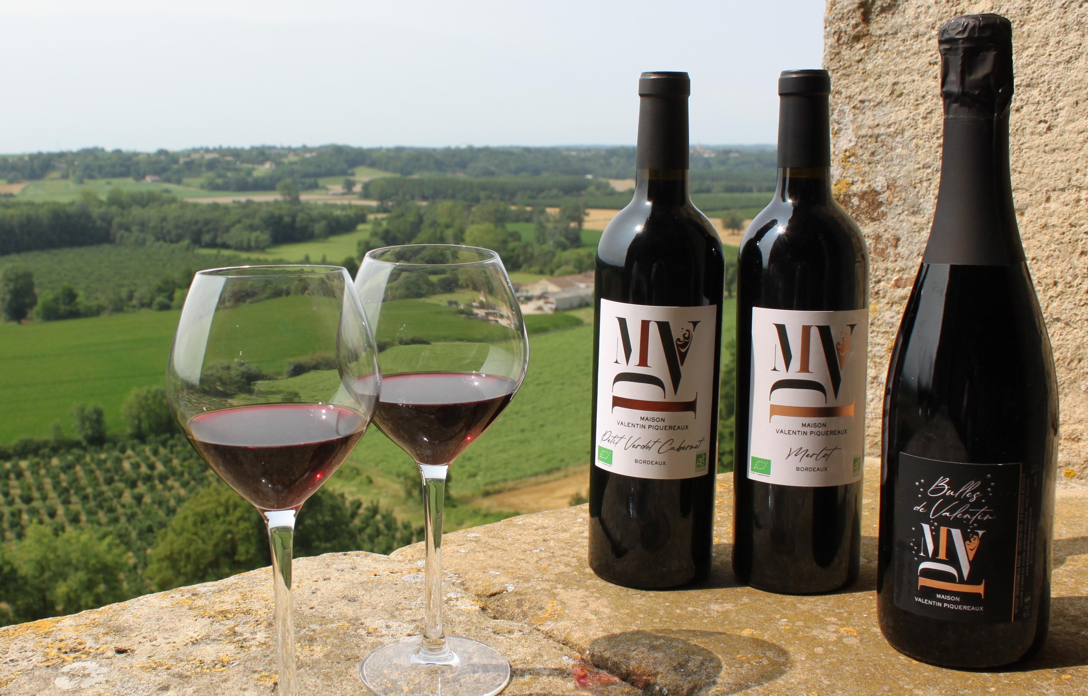 RED WINE - MERLOT AOC BORDEAUX 2022 BIO