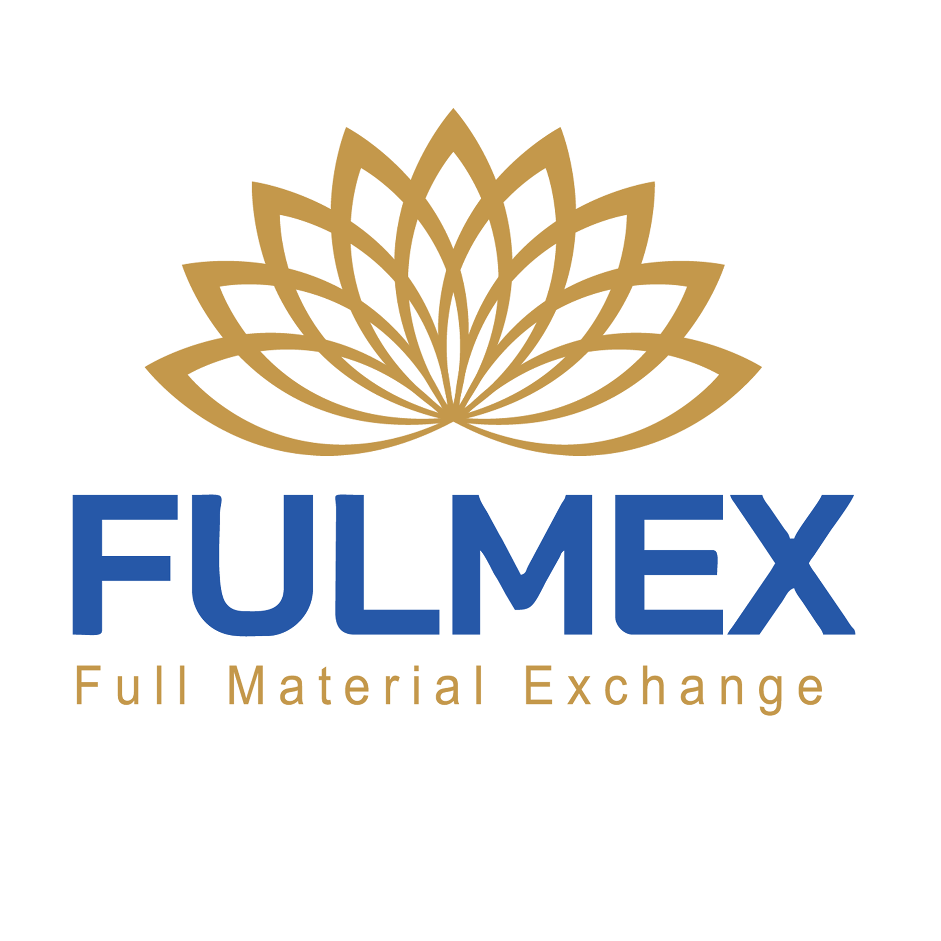 FULMEX., JSC