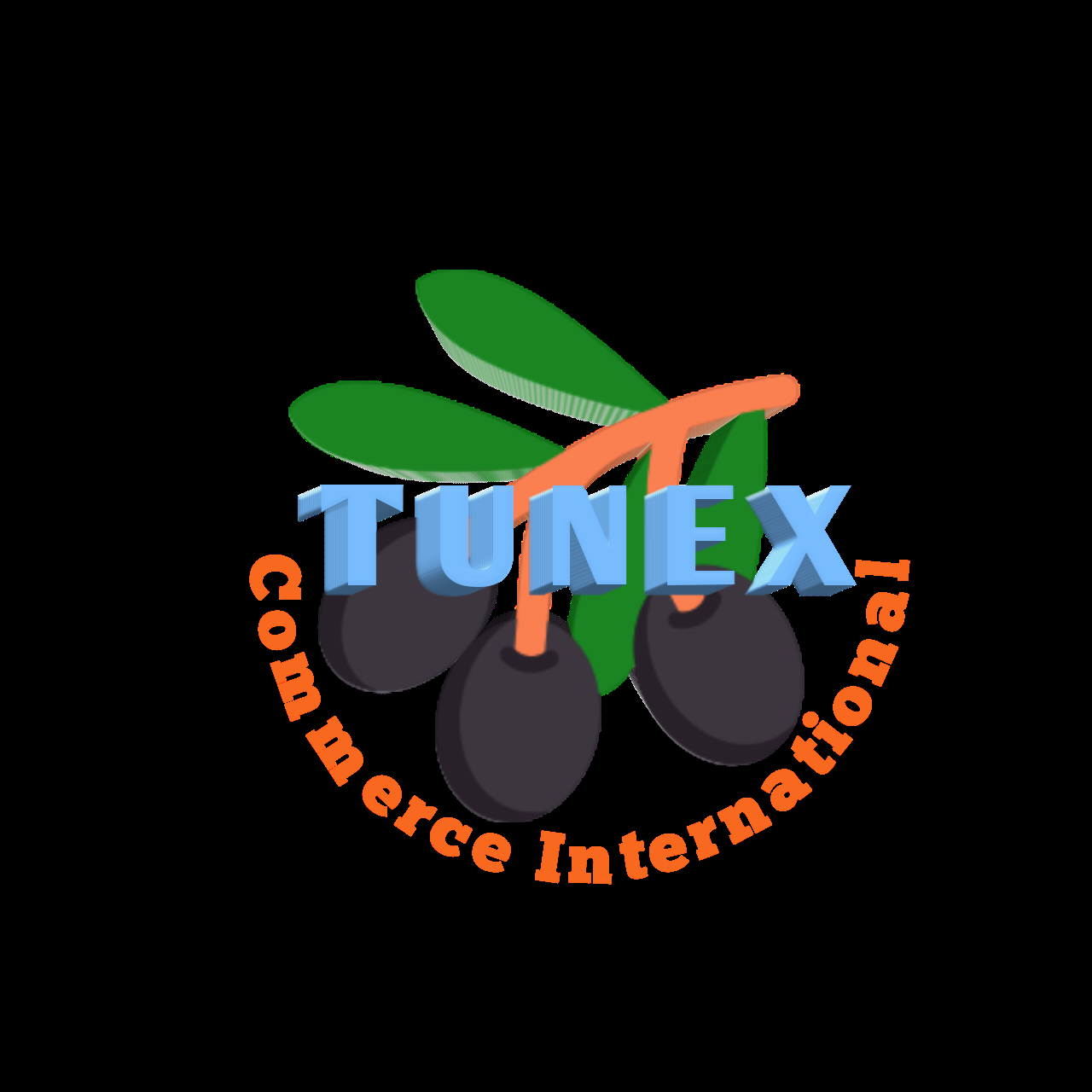 STE TUNEX
