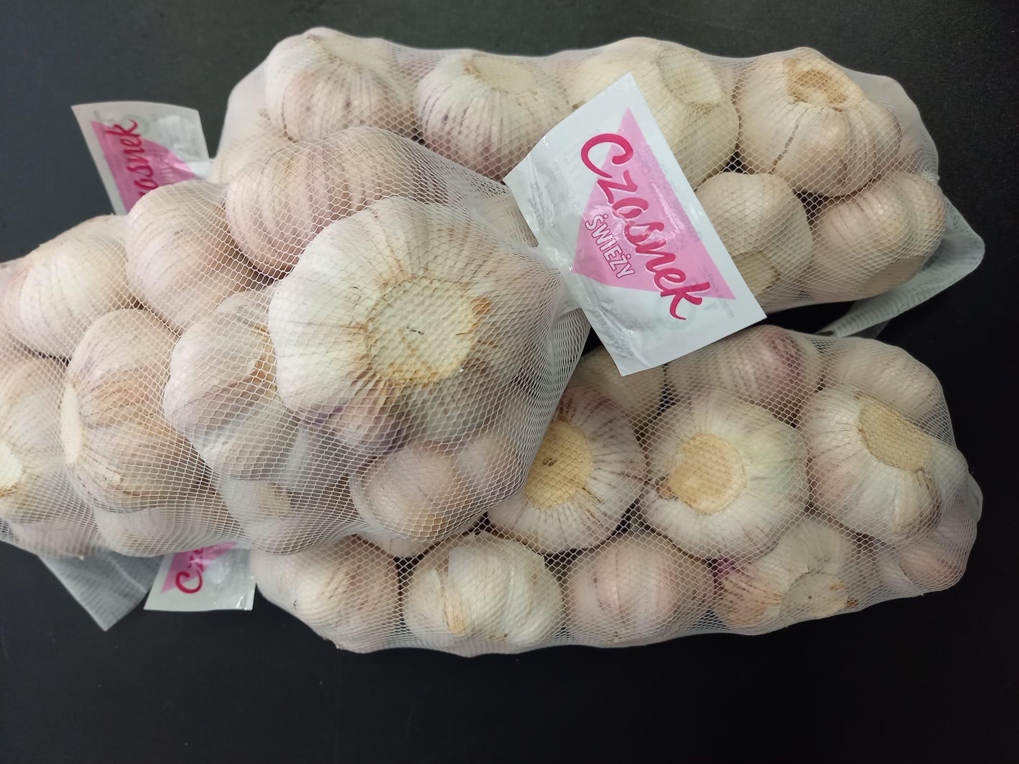 Garlic