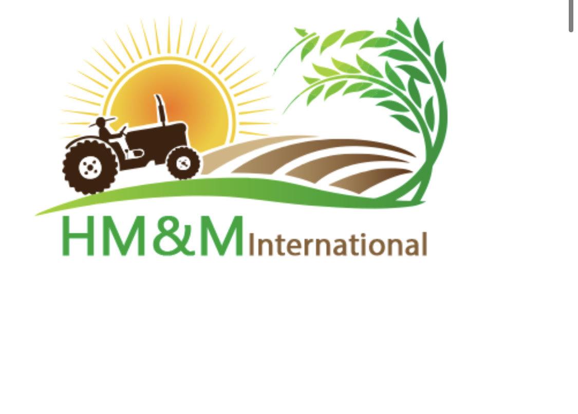 HM&M international
