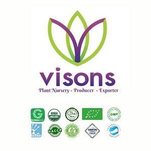Vison´s