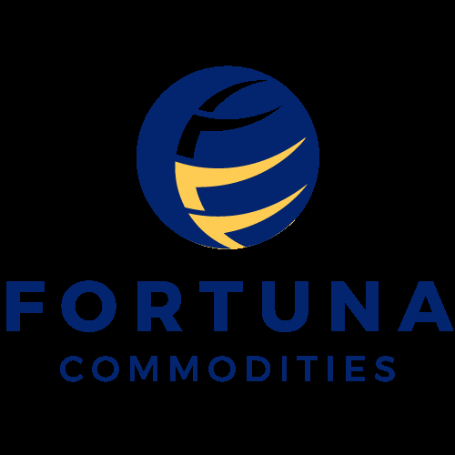 Fortuna Lancar Sejahtera