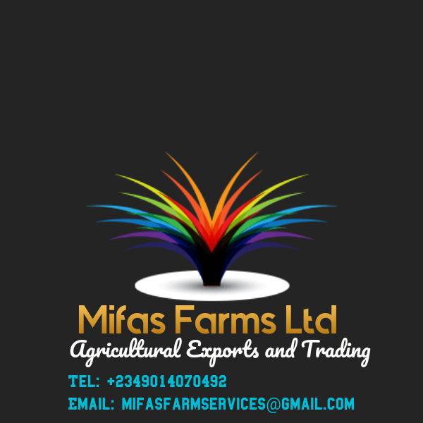supplier