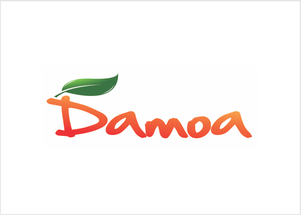 Damoa Corporation