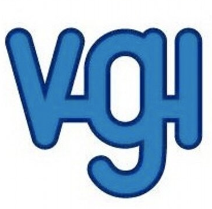 Van Geest International bv