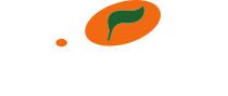Dried Apricot