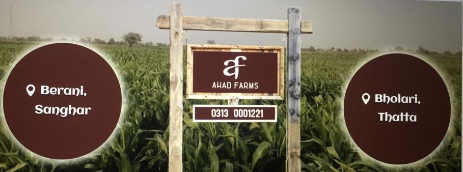 Ahad farm