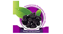 Plum SUSKA SECHLONIAN
