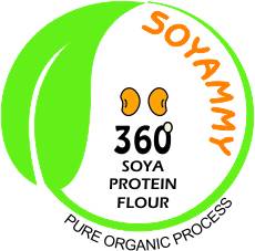 SOYA PROTEIN FLOUR