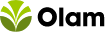 supplier